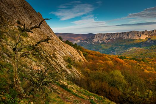 Scenic autumn landscape on a sunny day in the mountains