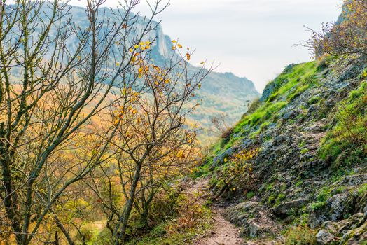 Autumn landscape in the mountains, in the foreground a tree with fallen leaves