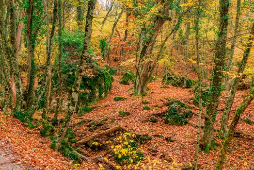 Autumn, forest in the mountains, fallen leaves on the railway and large boulders - a picturesque autumn landscape