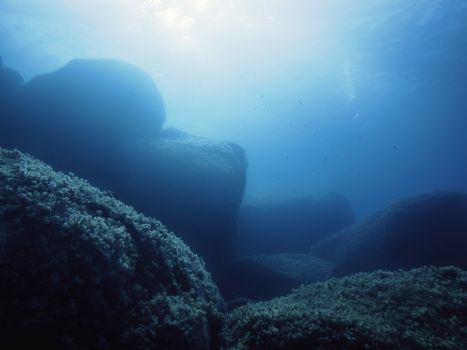 background of a rocky sea bottom, the golden sunlight enters the water of a turquoise blue sea gently illuminating the dark rocks covered in tiny algae and some small fish swim in the background