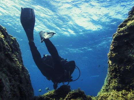 shot from bottom to top of the silhouette of a diver passing between two underwater rocks covered in green algae. The golden light of the sun is reflected on the surface of the crystalline blue water