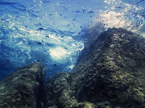 shot from bottom to top of the waves beating against the rocks, some small fish swim through the blue and crystal clear water and the golden sun reflects off the marine surface