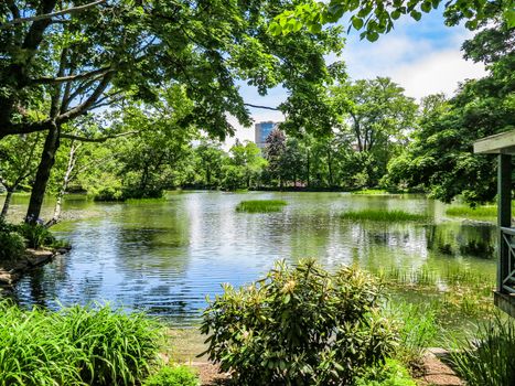 A pond in a park surrounded by trees