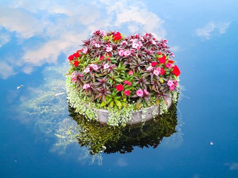 A pot with plants and flowers floating on water