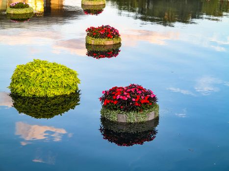 Pots with plants and flowers floating on water