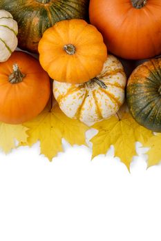 Many pumpkins and maple leaves isolated on white background , Halloween concept