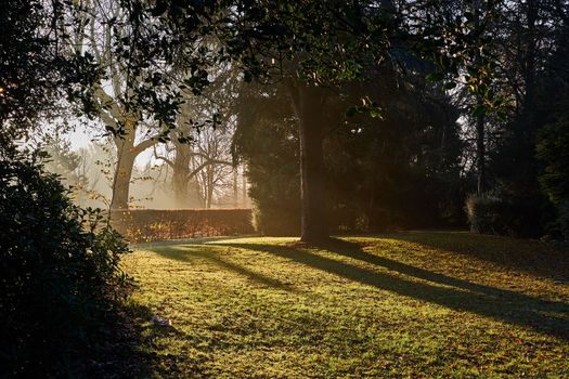 Beautiful morning sunshine in an autumn morning