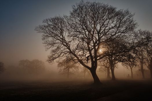 Heavy foggy in early morning in Winter