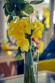 Beautiful yellow bouquet daffodils in a vase