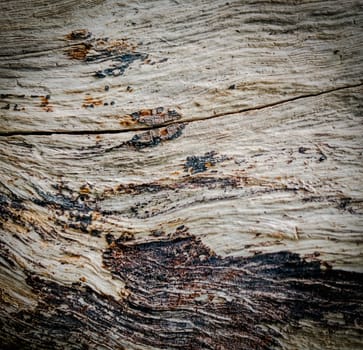 Background texture of old wood