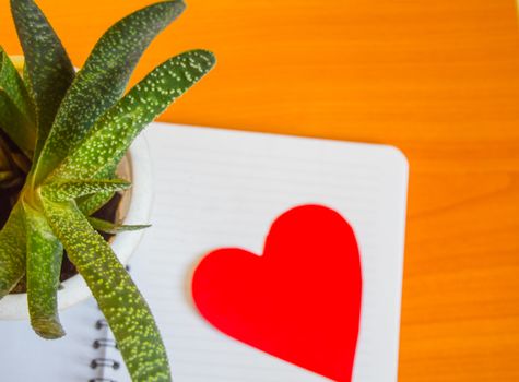 Flatlay, top view of succulent, blurred focus to Notepad and the heart, the concept of Earth Day, protect the heart in cardiology, the Health Day.