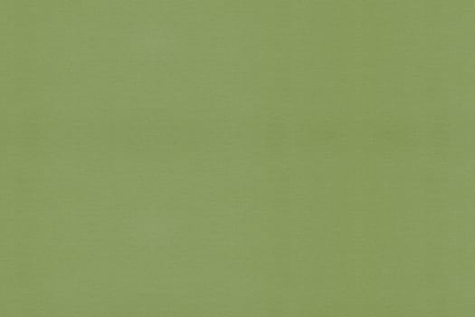 Light Green Paper Textured Background. Clean Textured background