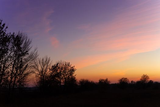 Blue time evening sky landscape with trees in foreground. Blue time sunset. Perfect teal and orange colors. Low-light underexposed photo