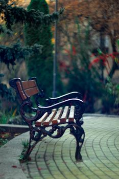 Bench in the park. It is autumn outside and there are some green trees in park. The background is blurred.