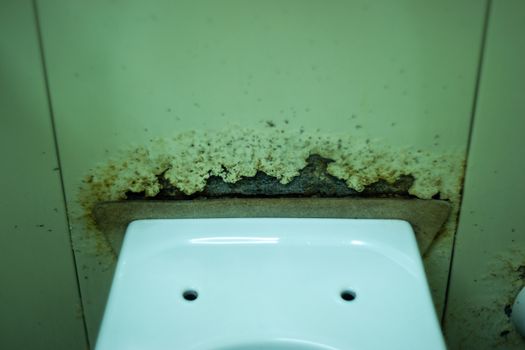 Dirty terrible toilet in a public toilet. Plating deteriorated from moisture and urine