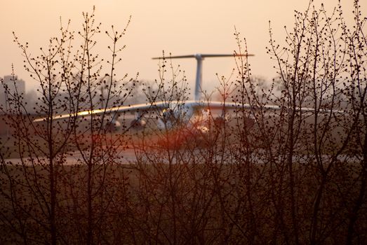 Big cargo plane on blurred background in golden time evening lights. In foregroung a lot of branches of trees.