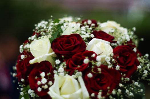 Bouquet of roses in bride hands. Weddind details in closeup viewwith blurred background. Solemn event.