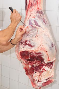 butcher cutting meat in the butchery. Close up