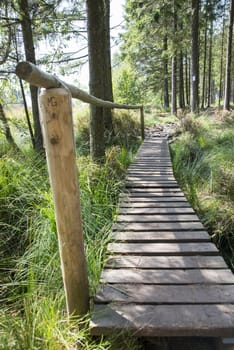 wooden rafts in a walking route in the Belgian Ardennes, these rafts are made because the area of peat is what can be very wet