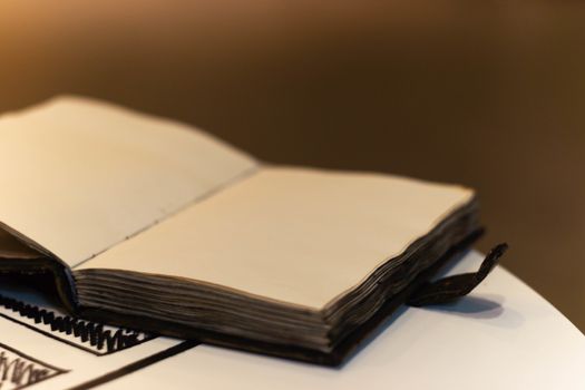 Handmade magic notebook with tower symbol on cover. Leather cover and handmade sheets inside. Notebook have 12 signs of the zodiac on first page. Very blurred background with soft focus on notebook.