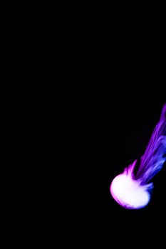 Round colored ring of vape fog on black background. Thin smoke bicolor ring goes down. Blue and purple color steam. Vape culture and no smoking direction.