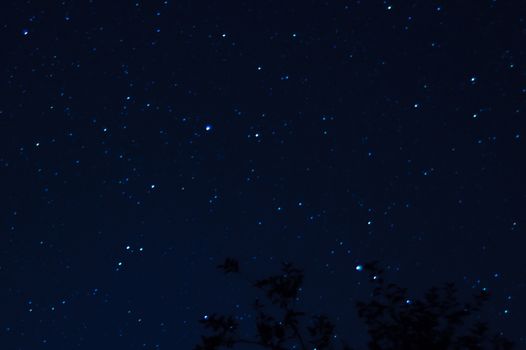 Long exposure night photo. A lot of stars with trees on foreground. Far from the city. Night landscape.