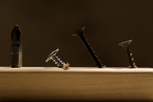 Learn the work with a screwdriver. Teaching to use tools. Conceptual photo. Bit for screwdriver and three screws- one silver and two black.