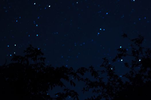 Long exposure night photo. A lot of stars with trees on foreground. Far from the city. Night landscape.