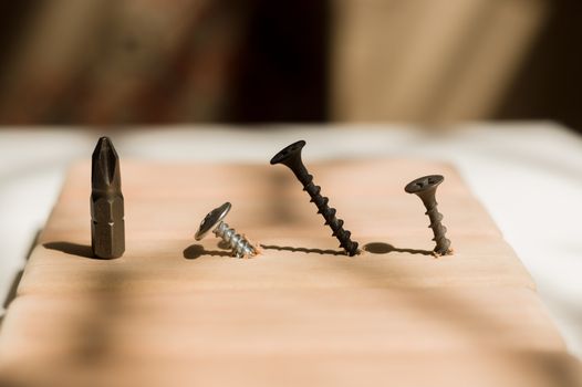 Learn the work with a screwdriver. Teaching to use tools. Conceptual photo. Bit for screwdriver and three screws- one silver and two black.