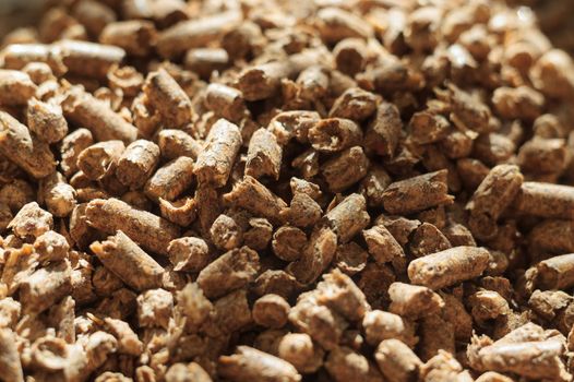 Fuel wood pellet close-up. A source of alternative clean energy. A lot of pellet. Natural fuel and energy of future.