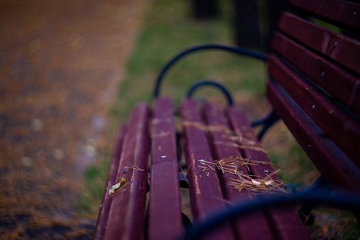 Bench in the park. It is autumn outside and there are some yellow leaves on the bench. The background is blurred.