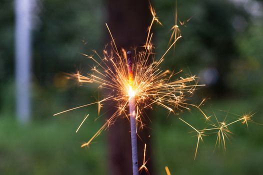 Firing bengali light in hand with blurred bakground close-up view.
