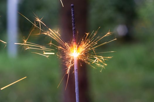 Firing bengali light in hand with blurred bakground close-up view.