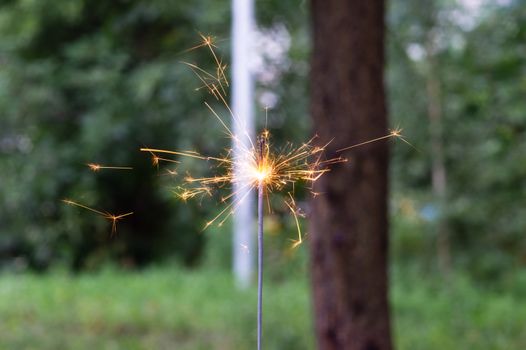 Firing bengali light in hand with blurred bakground close-up view.