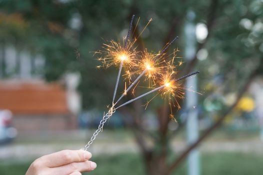 Firing triple bengali light in hand with blurred bakground close-up view.