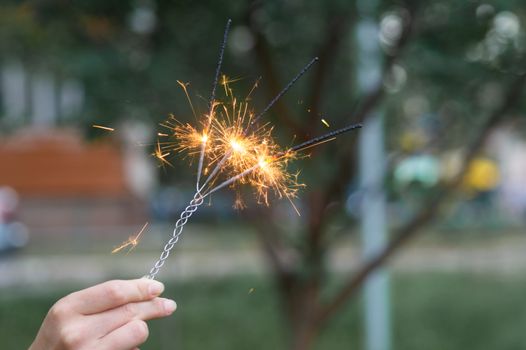 Firing triple bengali light in hand with blurred bakground close-up view.