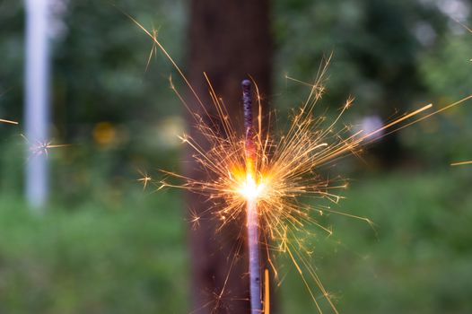 Firing bengali light in hand with blurred bakground close-up view.