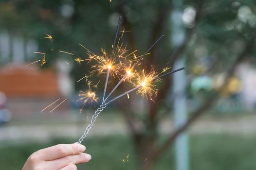 Firing triple bengali light in hand with blurred bakground close-up view.