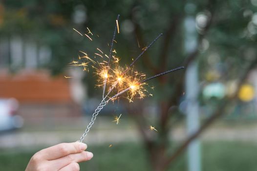 Firing triple bengali light in hand with blurred bakground close-up view.