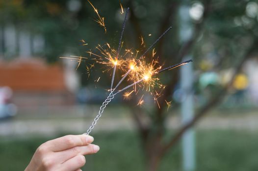 Firing triple bengali light in hand with blurred bakground close-up view.