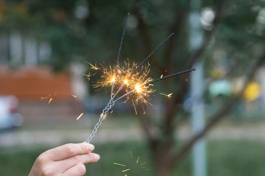 Firing triple bengali light in hand with blurred bakground close-up view.
