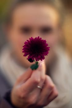 Pretty young girl holds dark purple flower in front of her. Girl is very defocused, soft focus on hand.