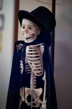 Skeleton with hat on head and cloak. Halloween decoration.