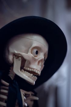 Skeleton with hat on head and cloak. Close-up view. Halloween decoration and blurred background.