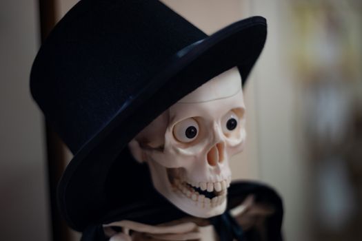 Skeleton with hat on head and cloak. Close-up view. Halloween decoration and blurred background.