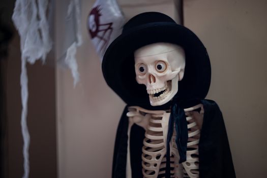 Skeleton with hat on head and cloak. Halloween decoration.