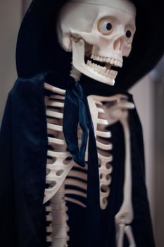 Skeleton with hat on head and cloak. Halloween decoration.