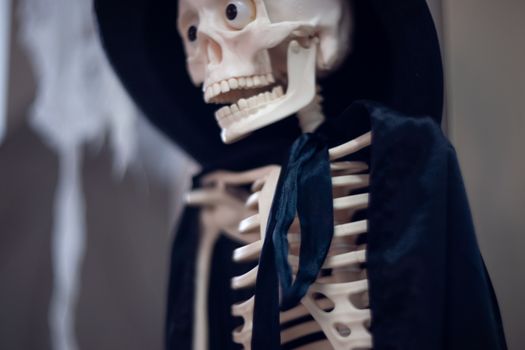 Skeleton with hat on head and cloak. Halloween decoration.