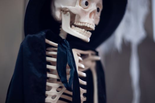 Skeleton with hat on head and cloak. Halloween decoration.