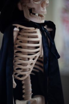 Skeleton with hat on head and cloak. Halloween decoration.